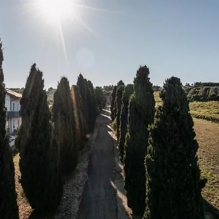 Tenuta Querce Grosse- Le Dimore Франкавилла-аль-Маре